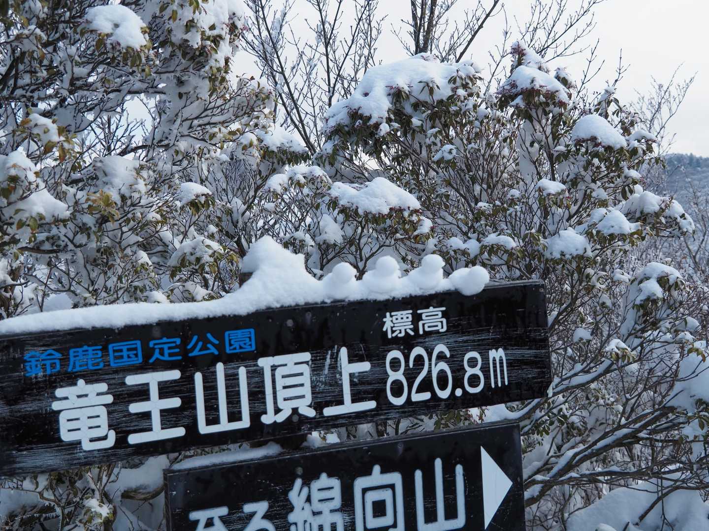 竜王山登山口-竜王山 往復コースの写真