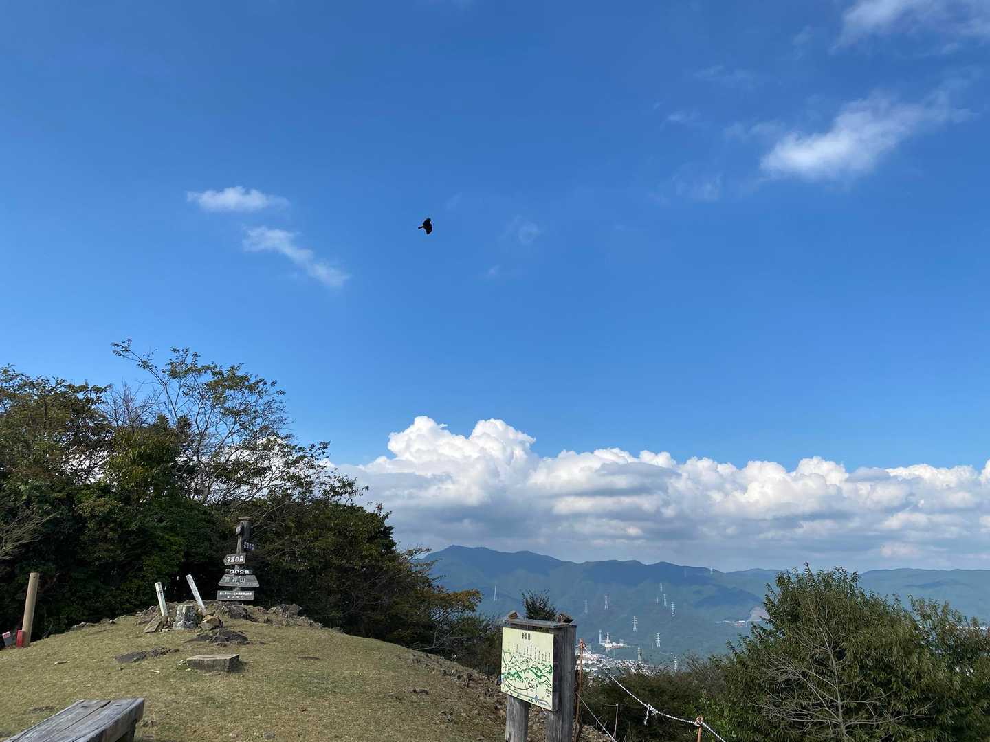 トンビさん