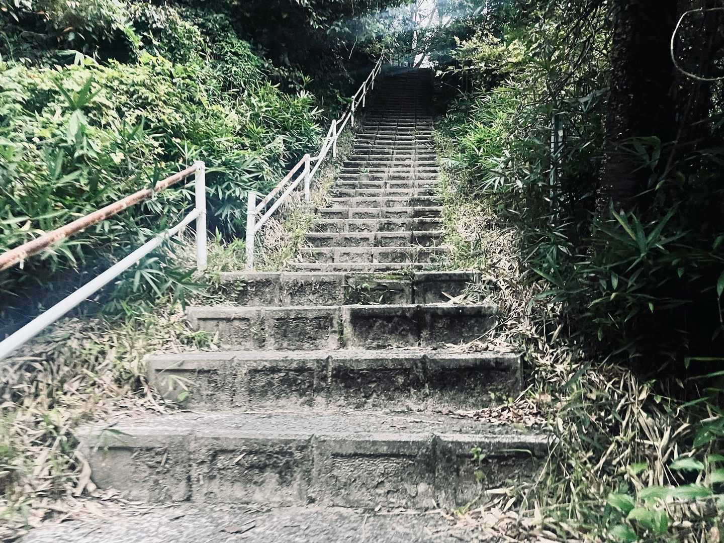 笹はしっかり刈られていて歩きやすい。