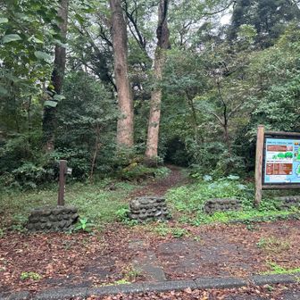 真鶴駅へ戻りー。
お林遊歩道を歩く。