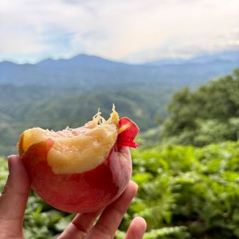 福島の友達からいただいた桃🍑
