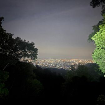 唯一大きく開けたところからの夜景