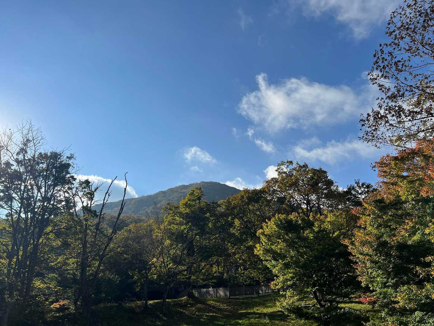 ひろしま県民の森登山口-展望園地-立烏帽子山-池ノ段-越原 周回コースの写真