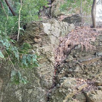 この辺から岩岩