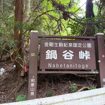一旦、アスファルト道に合流して