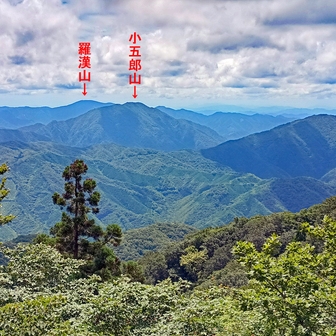 山頂から南を望む。