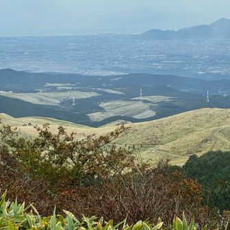 曇天だけど

目の前に広がる阿蘇の雄大な景色🤩