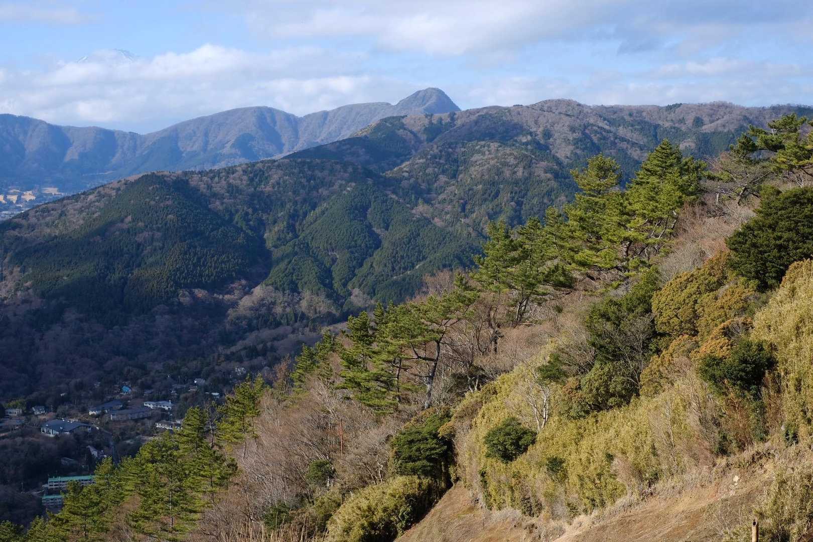 草木が刈られているので展望よくて気持ちいい！