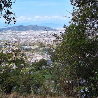 頂上（金毘羅宮跡）からの眺め