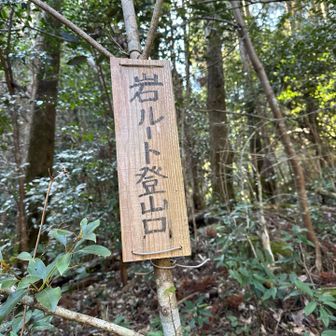 岩ルート登山口に
到着。