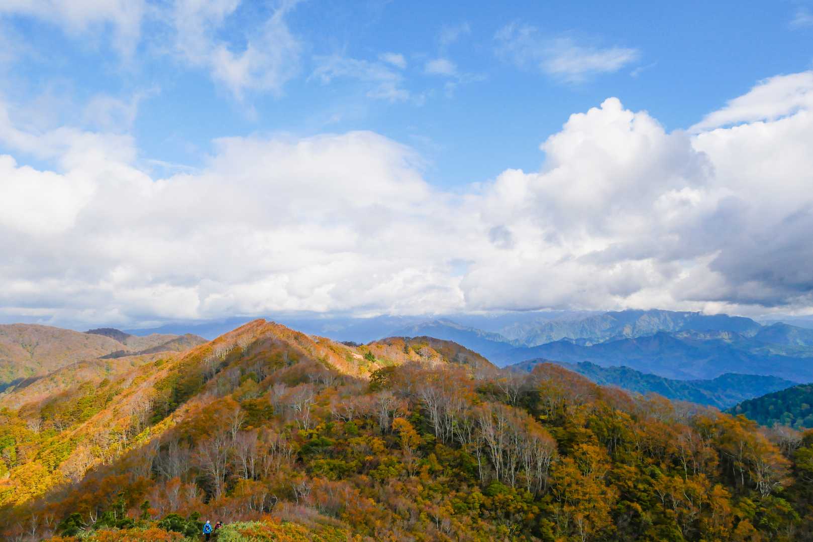 紅葉が綺麗。