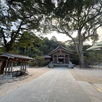 朝早い竈門神社は人少ないから静かでイイ😌