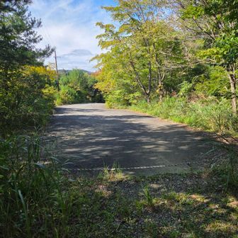 舗装道路に出てきました。