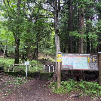入口　7台ほどの駐車スペースあり