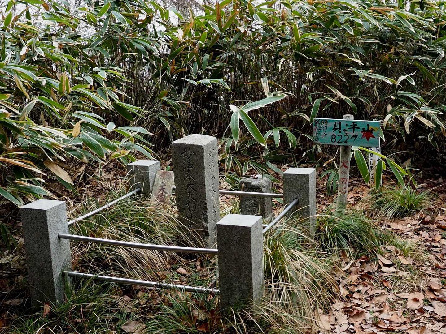 貝ヶ平山山頂