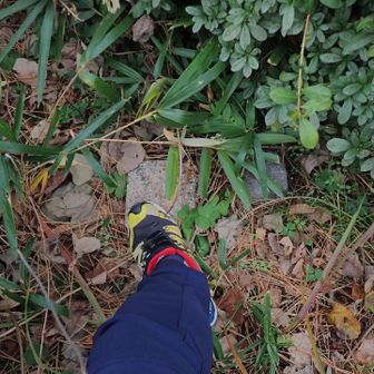 金比羅山ゲッツ