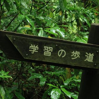 学習の歩道と言うらしい