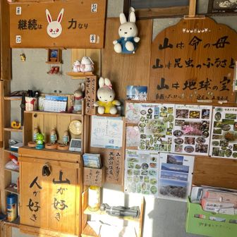 中に守屋山に咲くお花の一覧も貼ってありました🌸