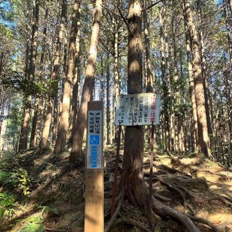 物見山は何度も登ってるのでこの日は北向地蔵の方へ