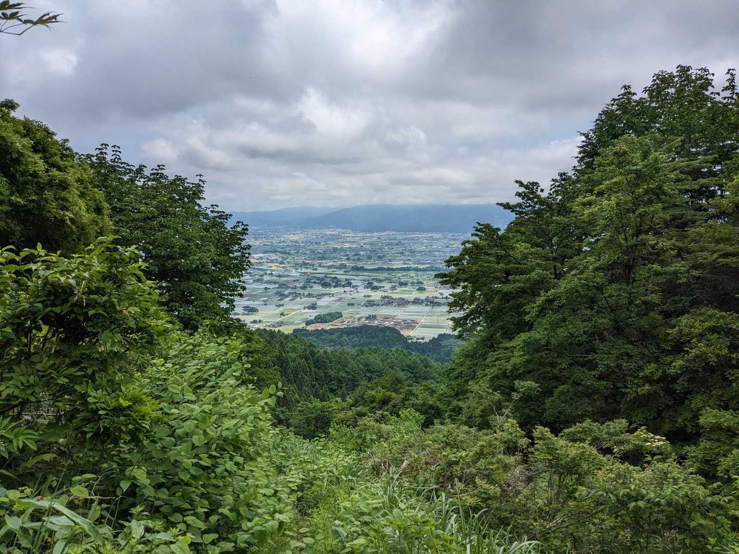胎蔵-前医王山-三千坊 周回コースの写真