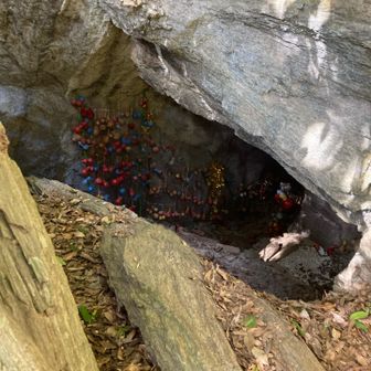 洞窟着いたけど💦
ヒャー((((;゜Д゜)))
洞窟怖い😱