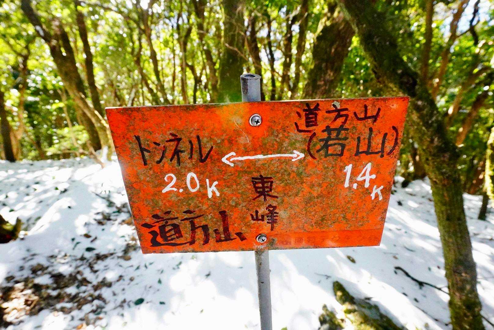 ここは道方山の東峰
眺望なし