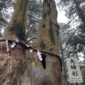 手で触れパワーチャージ