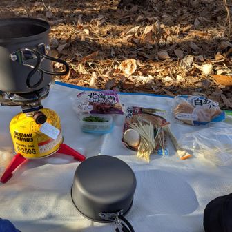 昼食
九州マルタイ棒ラーメン
玉子/チャーシュー/めんま/ネギ
北海道北見オニオンスープ
つぶアンパン/白アンパン
