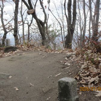 高尾山の頂上。手前、三角点。