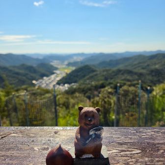 クマちゃん居てくれた🧸💕