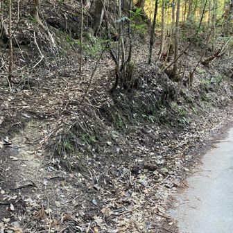 巨石コースの登山口はヤマップ地図ではもう少し先？