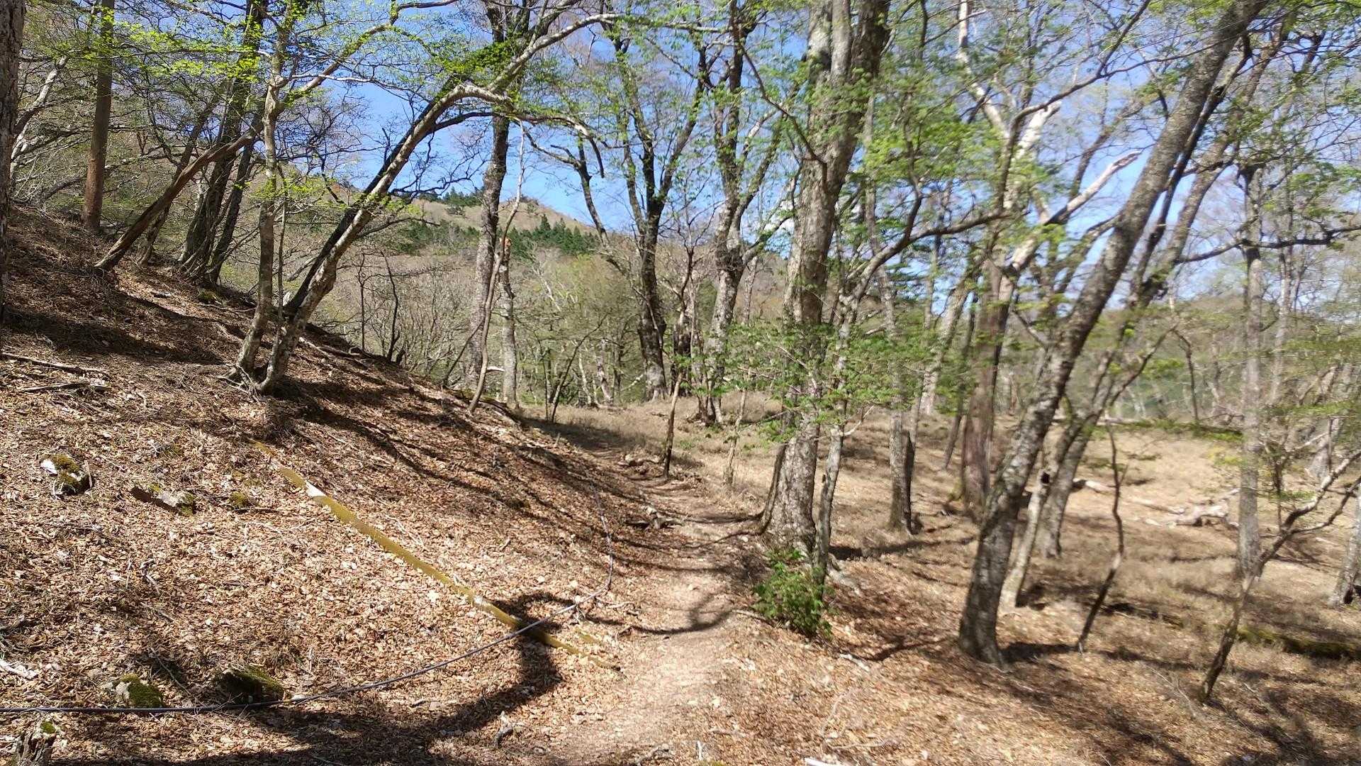 周回路に戻ると
