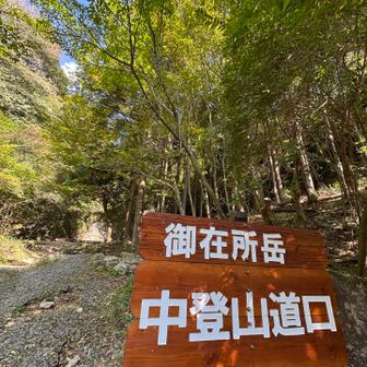 山友さんに「中毒やねぇ😅」と言われたけどね
今季3回目の中道登山道(笑)
しかもソロって💦気を引き締めて行きましょう