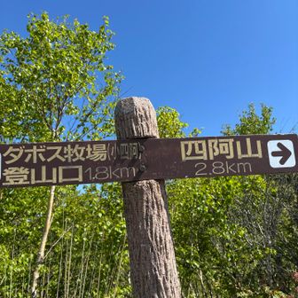 もうここで疲れてる😓