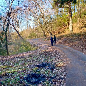 ついフラフラと前の方達の後ろを😵‍💫ついて行ったけど
私のルートと反対方向やーん

いつも来てるのに🤣

