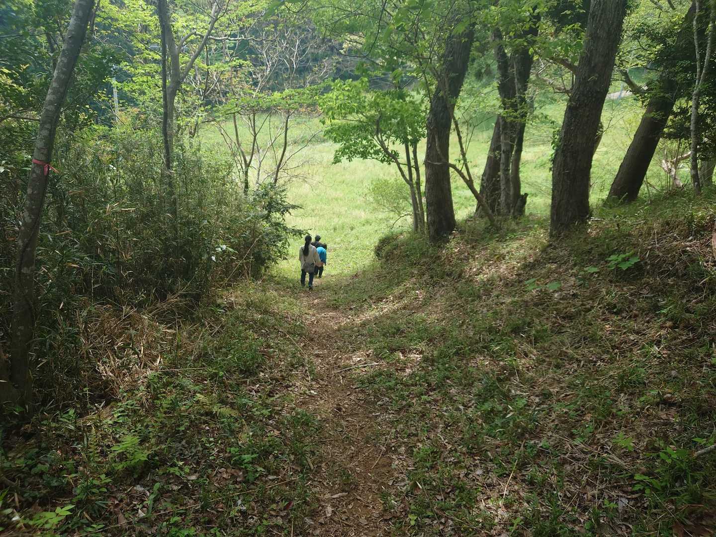急坂を降って、第一部完。第二部があることに苦情を受ける(笑)