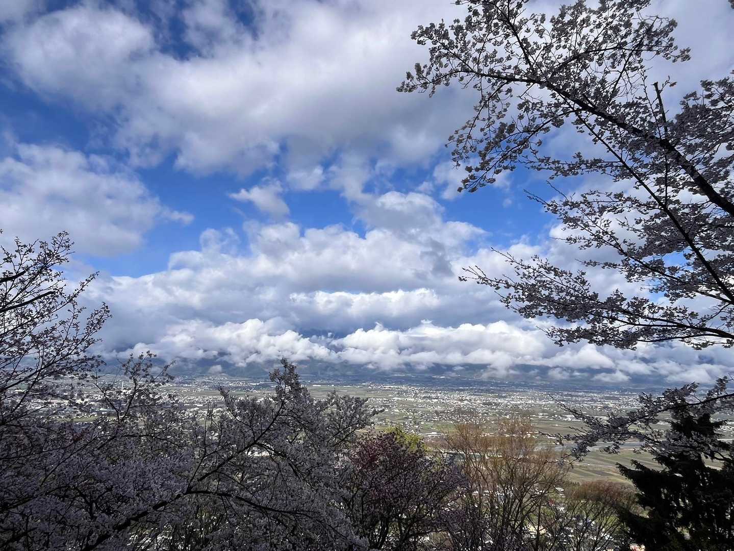 光城山登山口-光城山 往復コースの写真