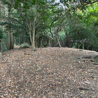 山頂の先まで行ってみました
少しの広場　特に何も無し
山頂側から📷
