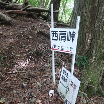ここから山頂までは15分ほど