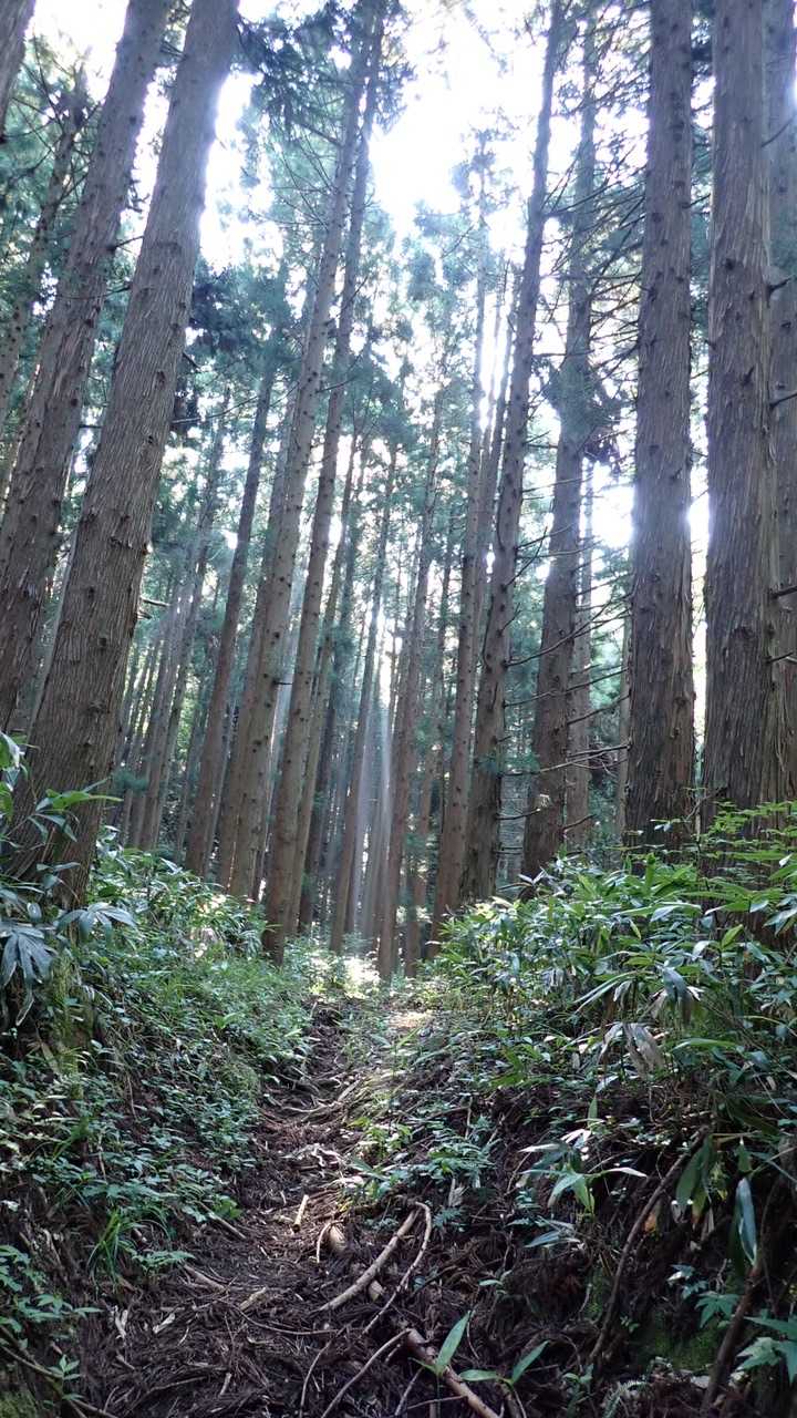 朝日が差し込み、清々しい。