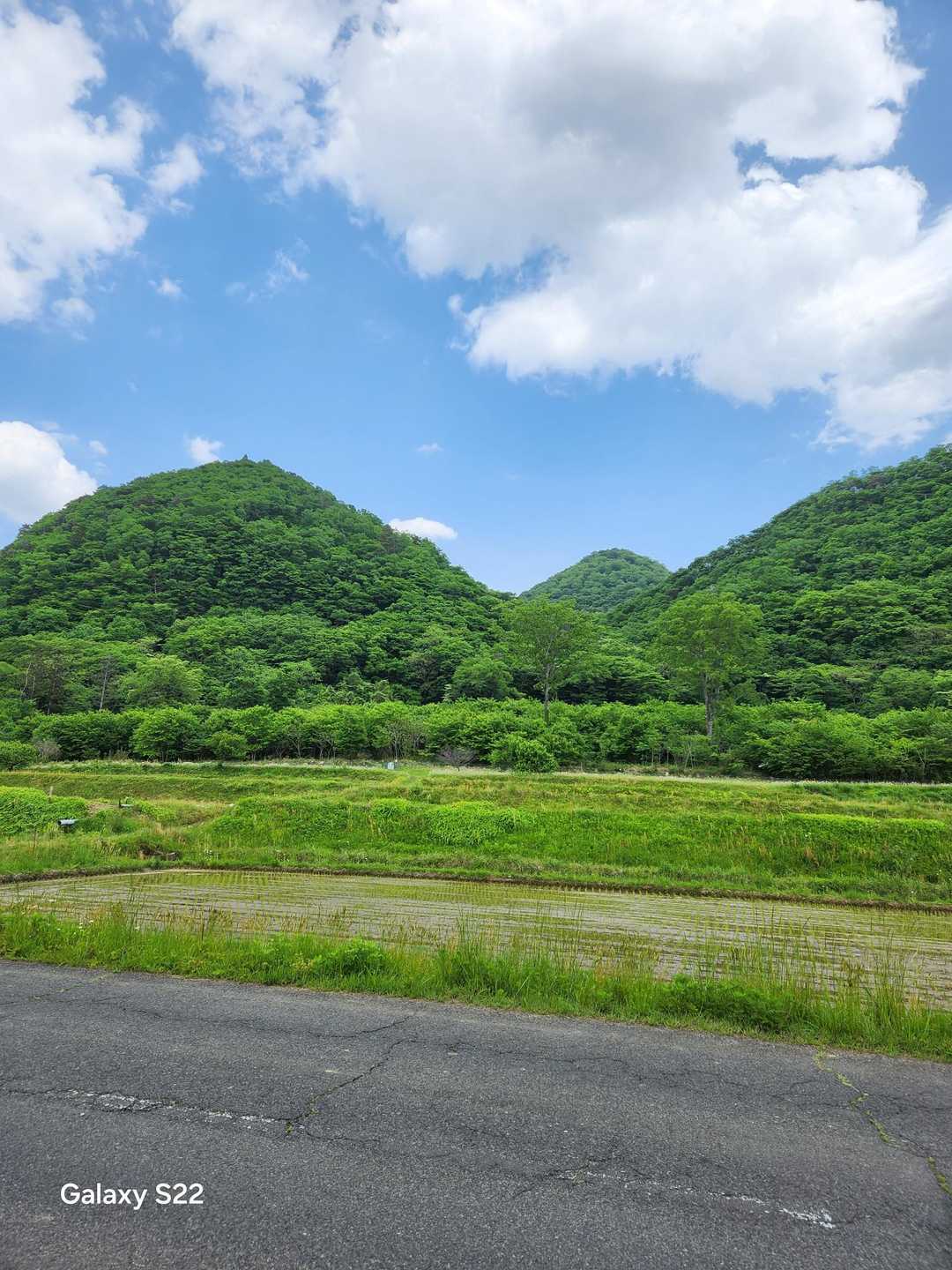 遂倉山登山口-遂倉山-鎌倉山-鎌倉山入口-南川ダム 縦走コースの写真