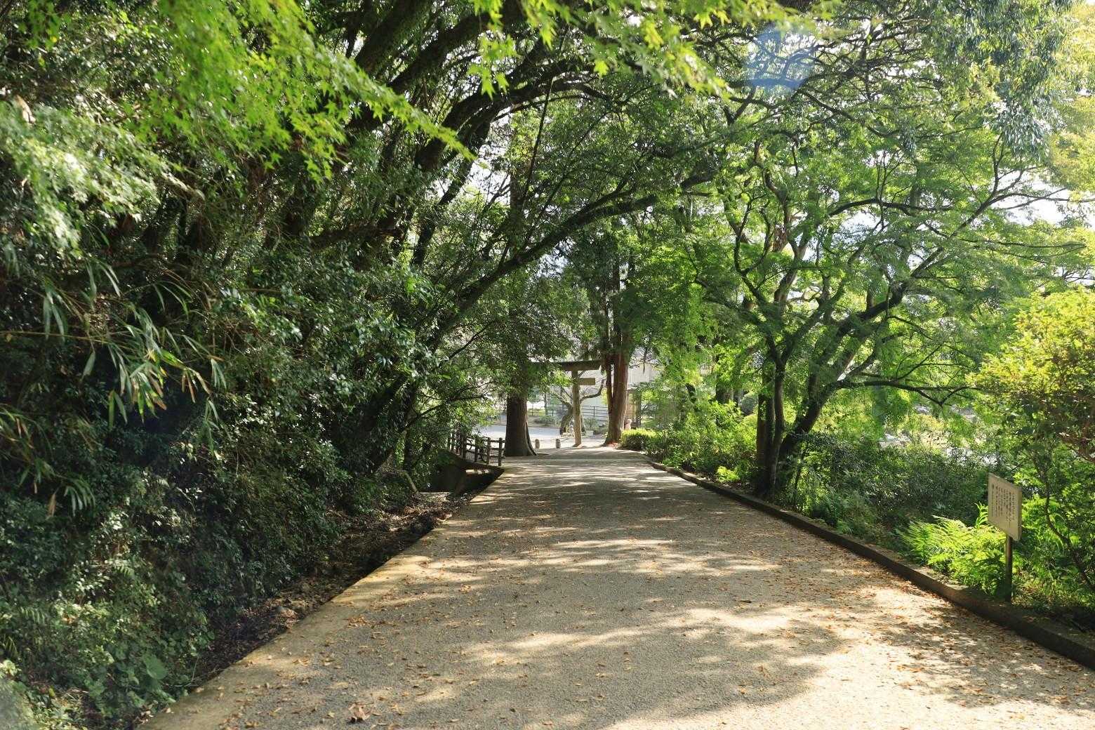 地元の方々の憩いの場所、堪能させて頂きました😌