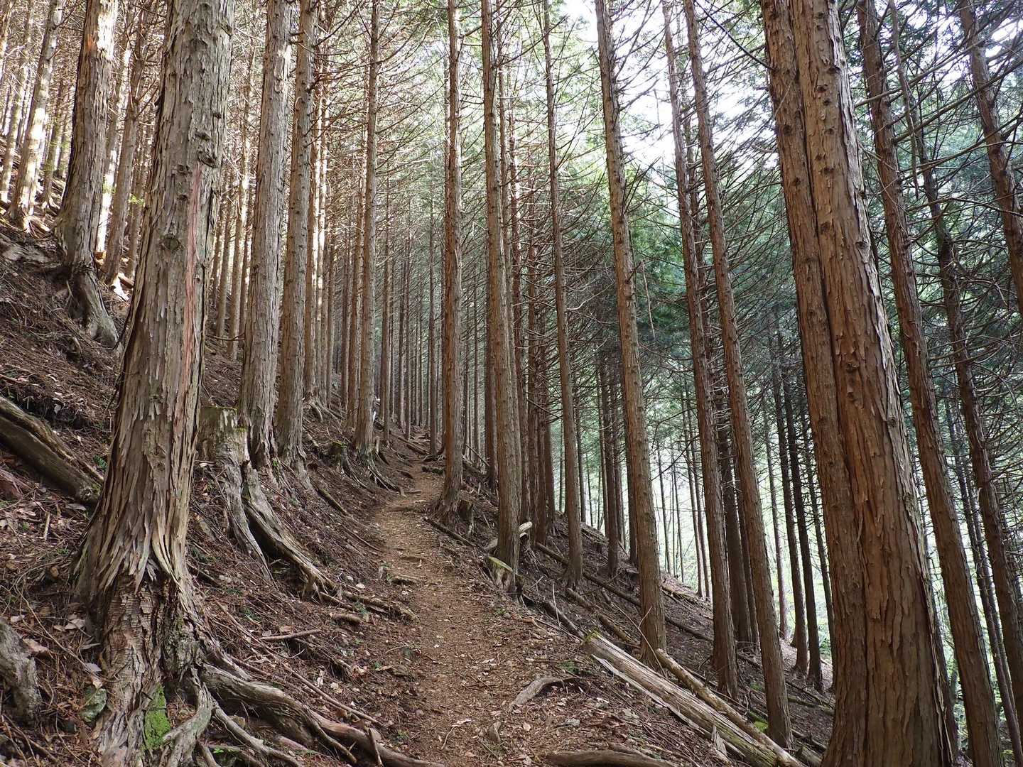 明瞭