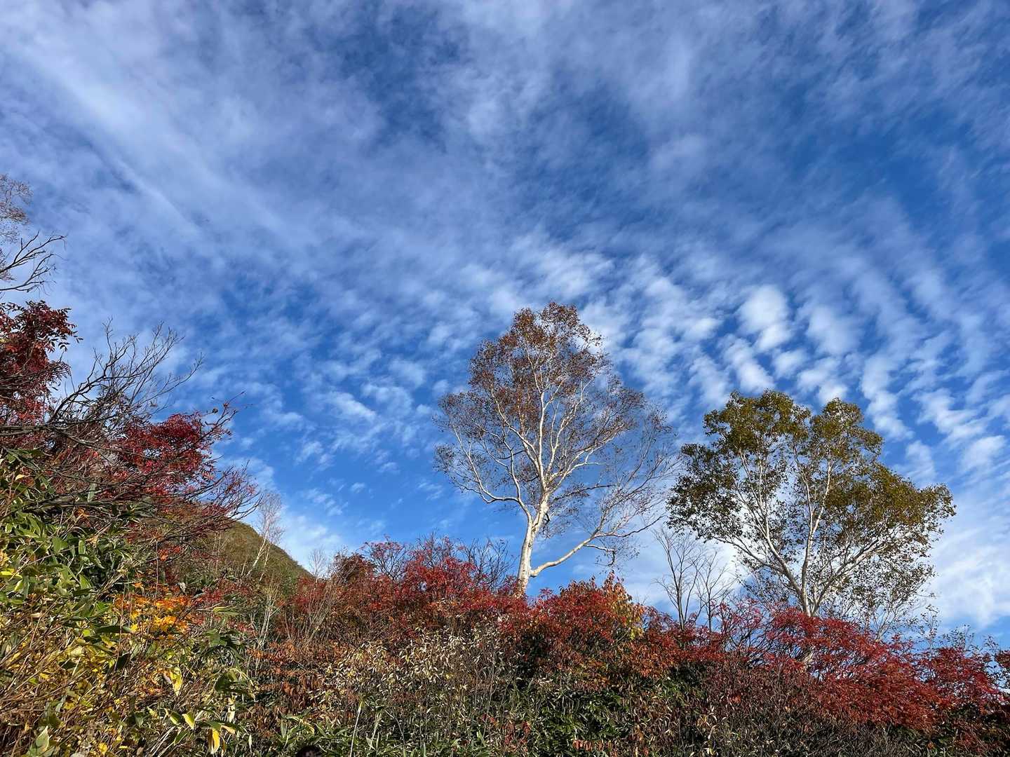 平瀬道登山口-室堂センター-白山 往復コースの写真
