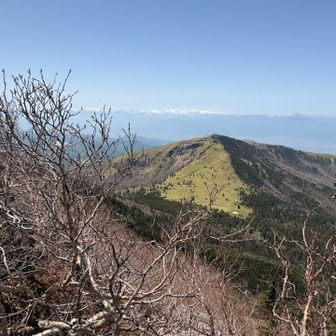 アルプス軍団

その左には（写真にないけど）甲斐駒も見えた！朝の方がくっきりはっきりでした。

今日は暑さもあるから、マイカー早朝組が勝ち組