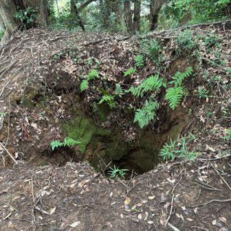 縦穴もあるので注意
