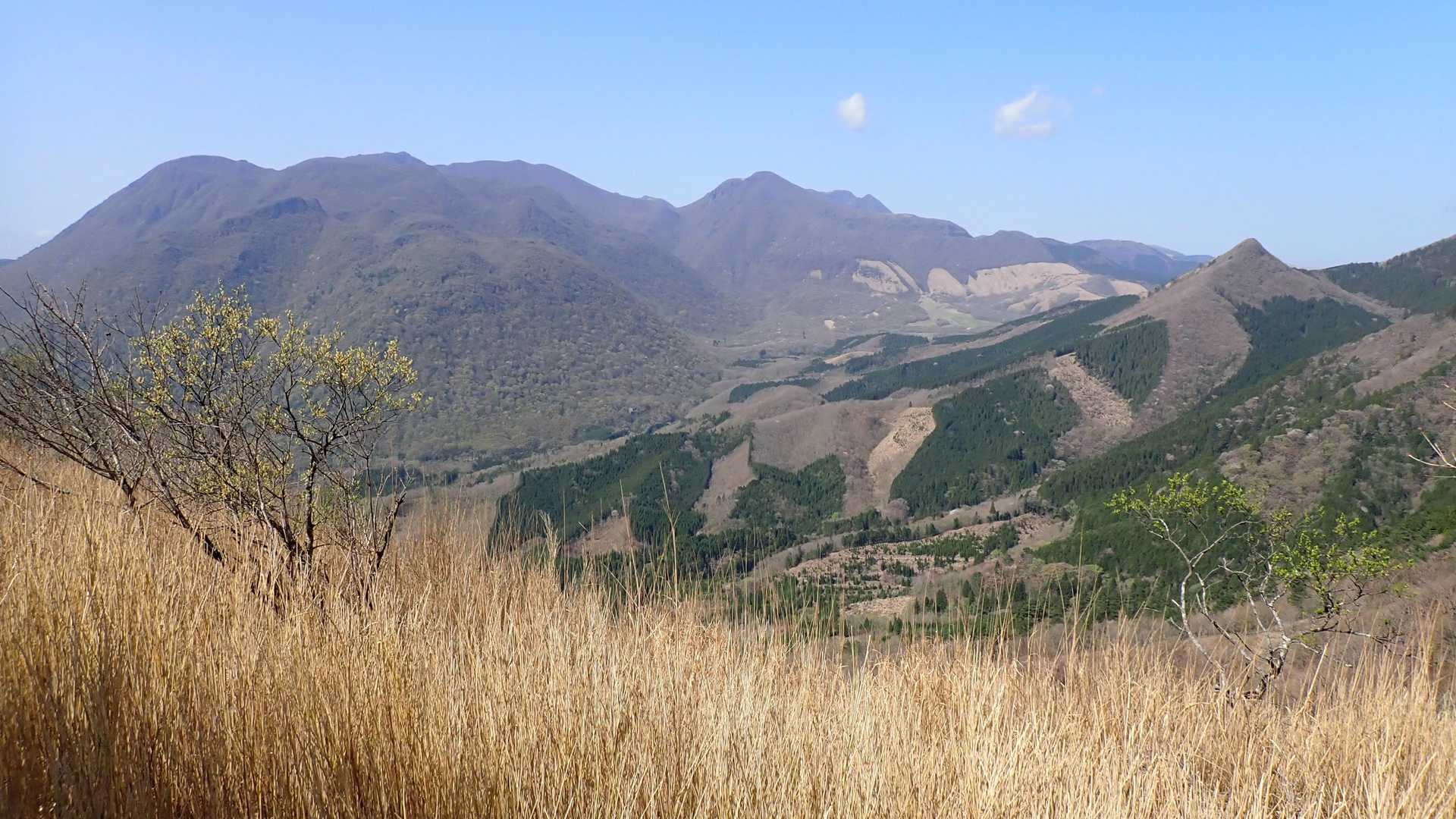 樹林帯の登山道を抜け視界が開けくじゅう連山の山々が現れます