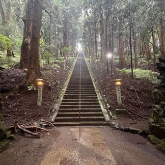 長すぎる階段😅