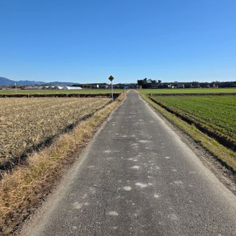 ここから駅までむちゃ遠い