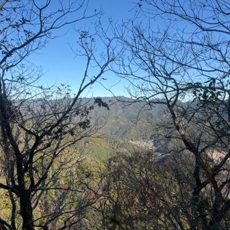 結構切り立った痩せ尾根にあるピークだが、木が邪魔ね